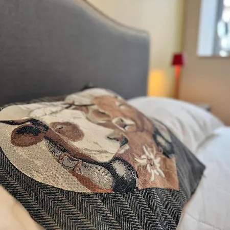 Appartement Plein Centre, Bel 4pièces De 80m2 Pour 6 Pers